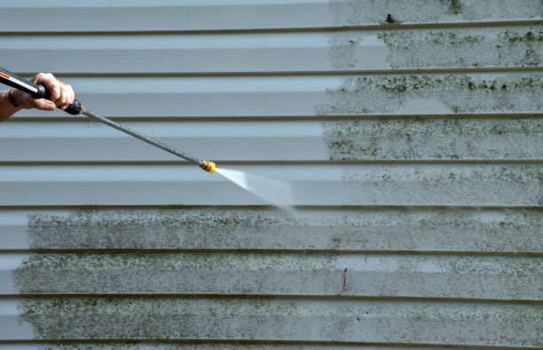 Best Fast Mold Removal  in Saucier, MS