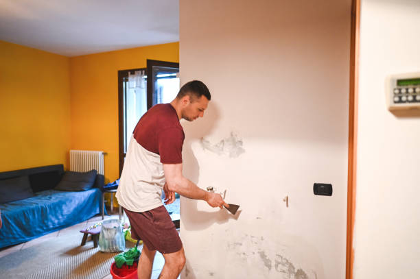 Best Certified Mold Removal  in Saucier, MS